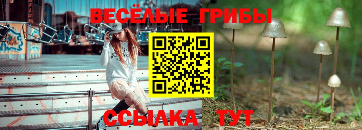 Сибай  Псилоцибиновые грибы GOLDEN TEACHER  Вход с VPN 